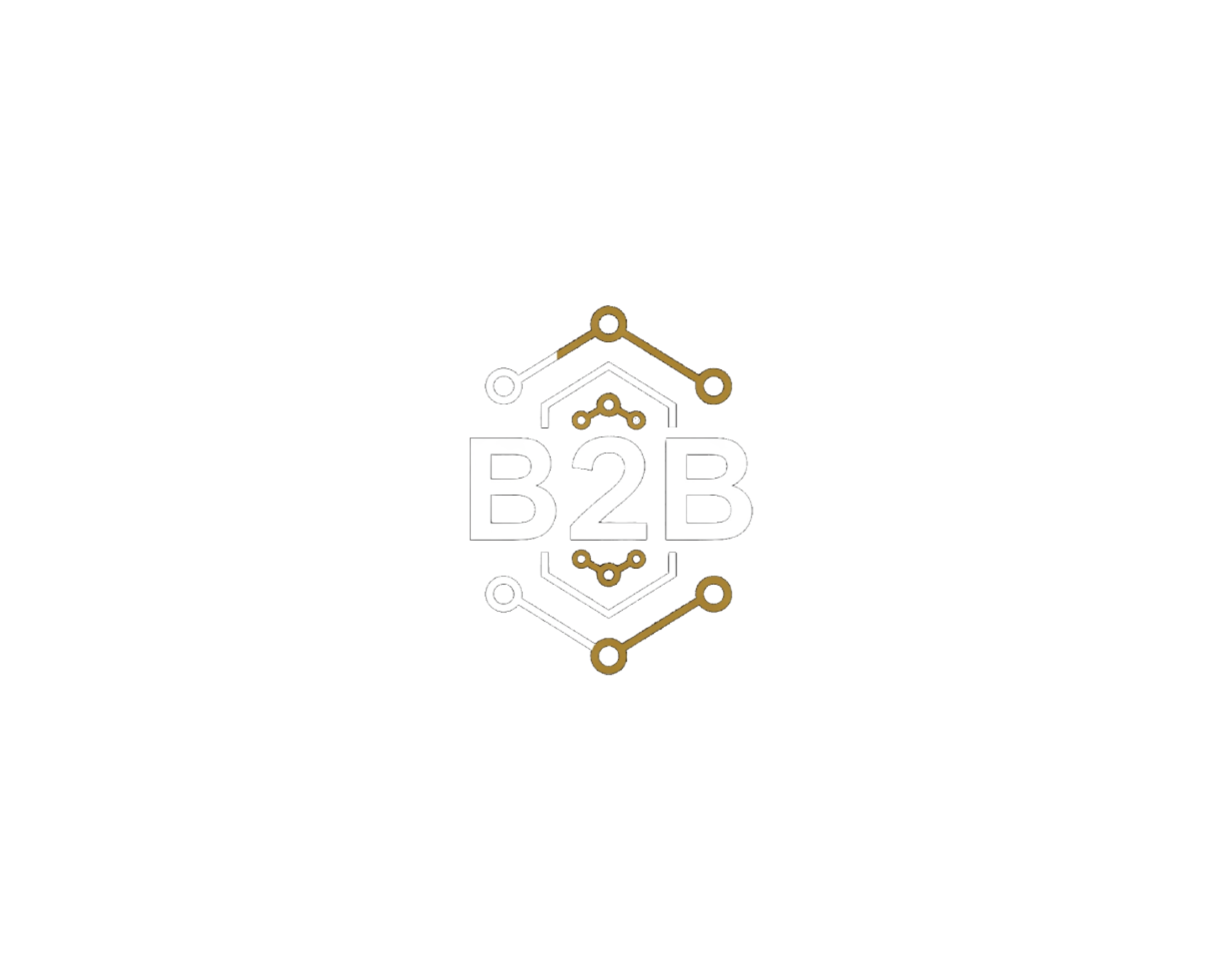 B2B Store